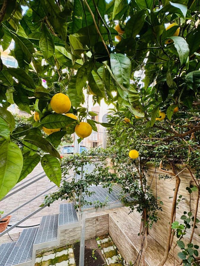 Ferdirisa Vesuvio Home&Garden San Giorgio a Cremano Exterior foto